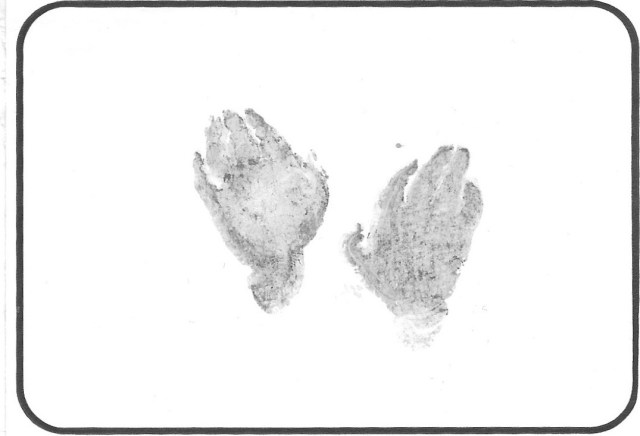 ACB Hand Prints (1)